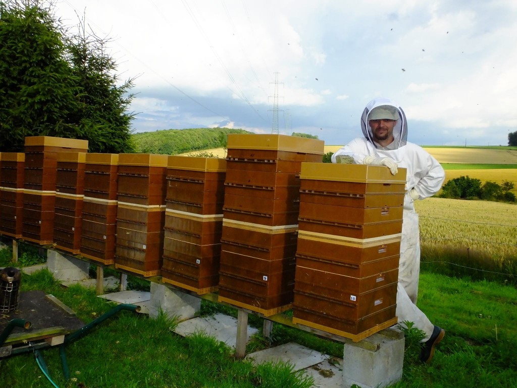 chasse-abeille miel été