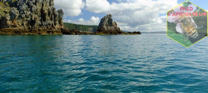 Vacances 2016: Camaret-Crozon (Bretagne-Finistère): 7ème partie, balade en mer depuis Morgat