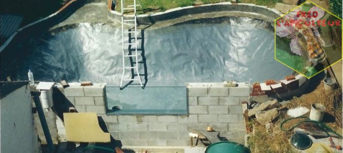 Il y a presque 20 ans…construction du bassin à carpes koï!