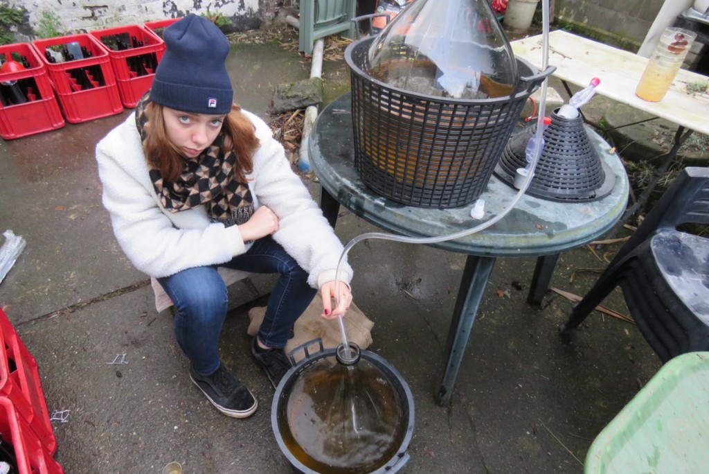 Fabrication du cidre mise en bouteilles FRED L