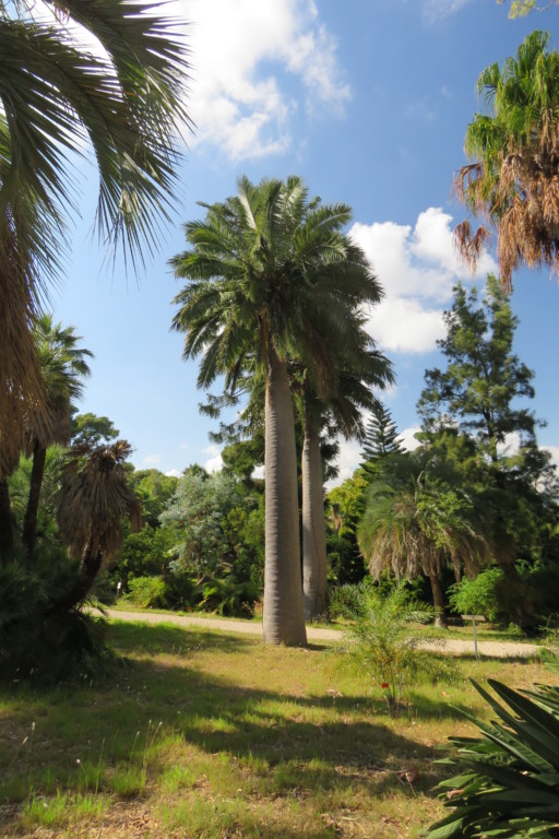 Le jardin botanique de la villa Thuret – Antibes Juan-les-Pins