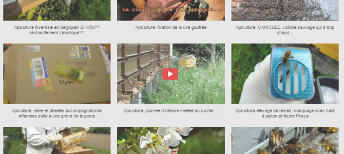 Mes vidéos sur le thème de l’apiculture