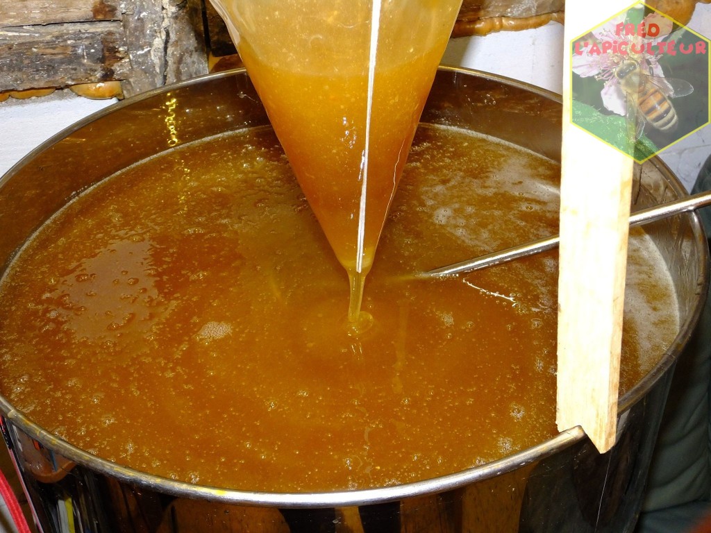 miel solide liquide cristallisation