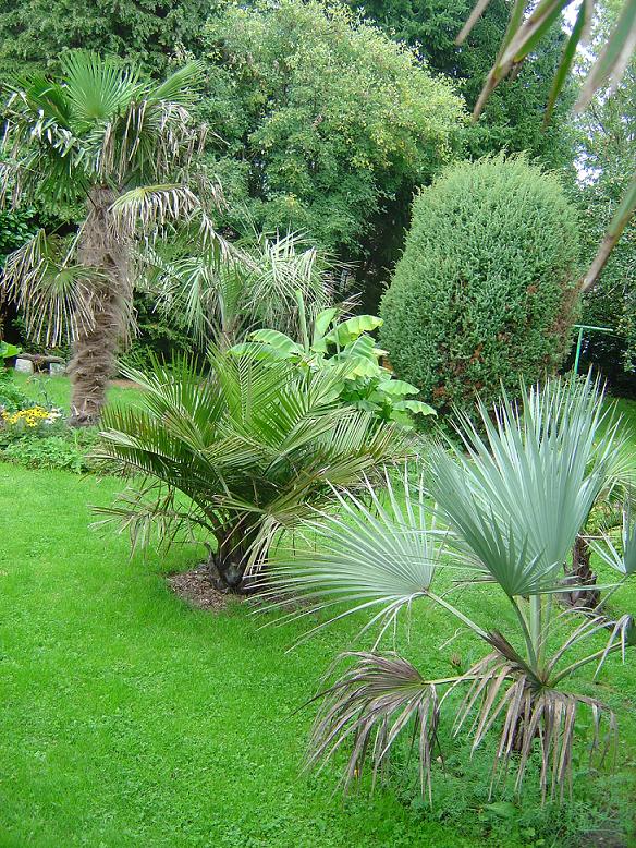 Mon Jardin en 2010