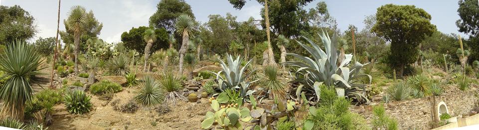 Le domaine du Rayol-Canadel (Côte d&rsquo;Azur-Var 2008)