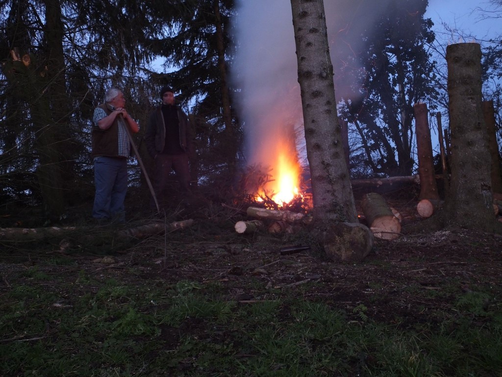 Travaux au jardin (suite)
