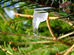 goutte de neige fondue
