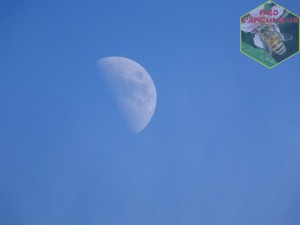 clair de lune en journée