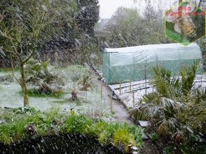 neige-fin-avril-2016