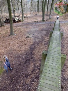 sequoia parc mary rond-chene esneux