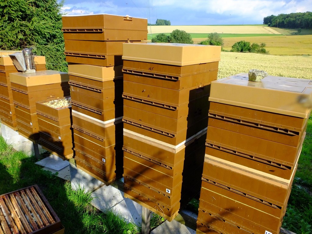 chasse-abeille miel été