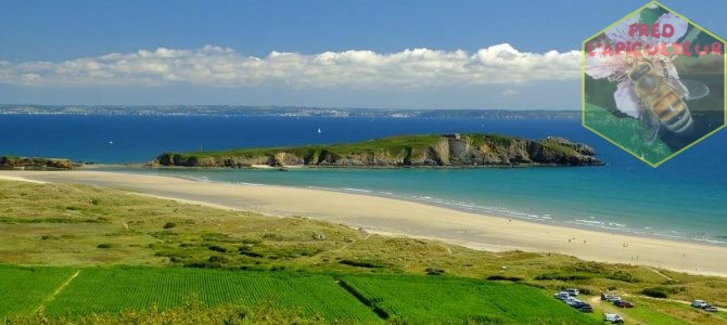 Vacances 2016: Camaret-Crozon (Bretagne-Finistère): 9ème partie, estuaire de l’Aber