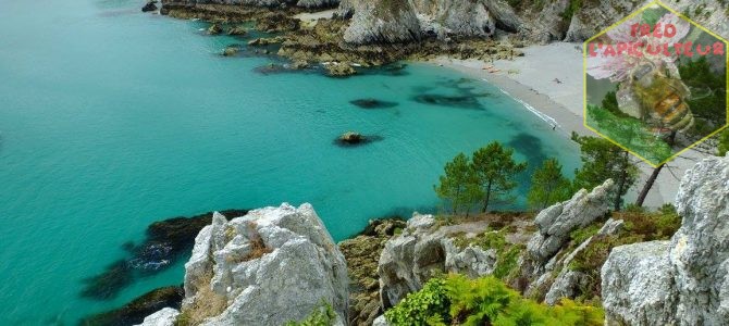 Vacances 2016: Camaret-Crozon (Bretagne-Finistère): 5ème partie, l’île vierge ou  la pointe de Saint Hernot