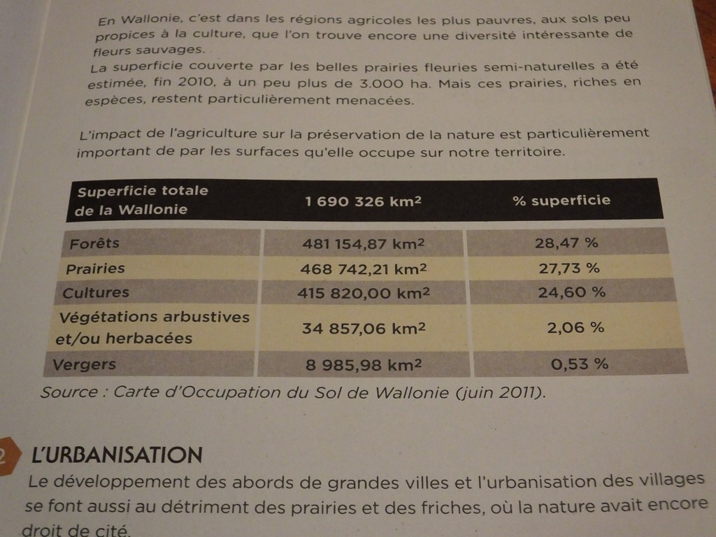 «&nbsp;La Wallonie, la médiocrité au quotidien…&nbsp;»