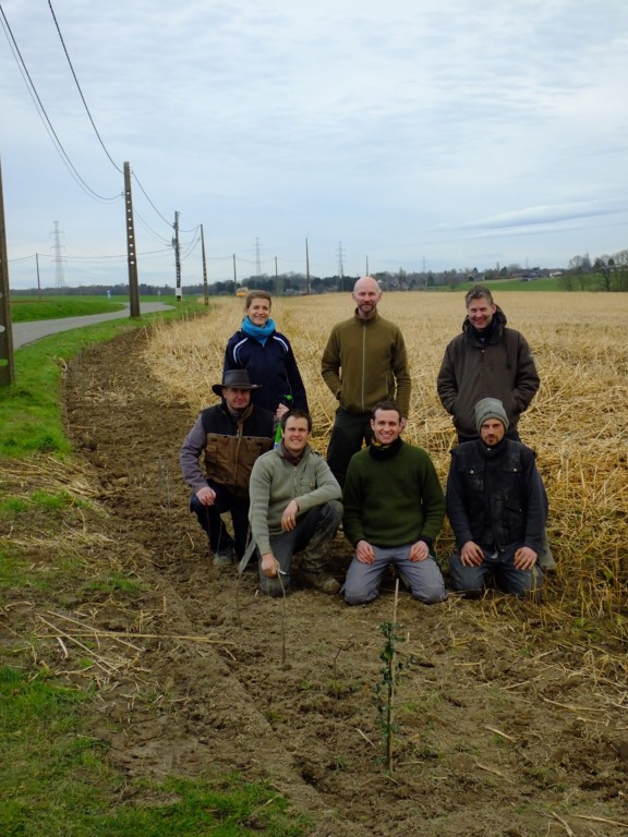 Plantation de haies par Natagora à Tinlot