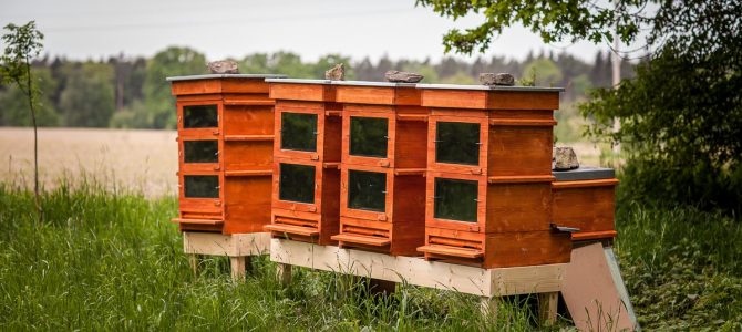 Thermosolarhive: encore une nouvelle ruche révolutionnaire?