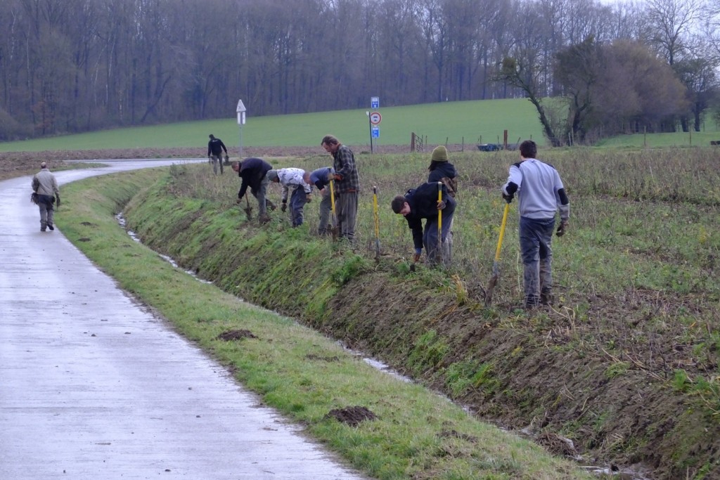 Plantation de haies par Natagora à Tinlot (2018)
