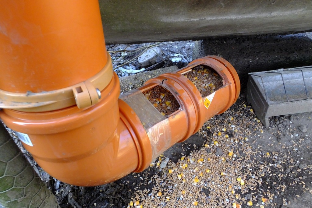 Mangeoire silo pour la basse-cour