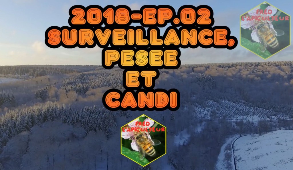 Utilisation du candi en nourrissement de secours