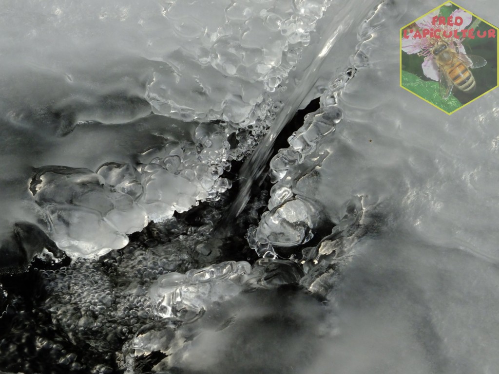Froid tardif…