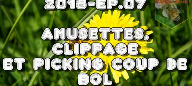 2018- Ep.07 Amusettes, clippage et picking coup de bol
