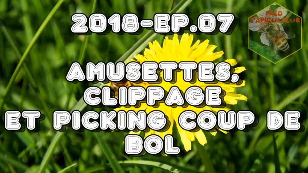 2018- Ep.07 Amusettes, clippage et picking coup de bol