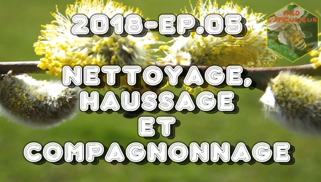Démarrage de la saison apicole