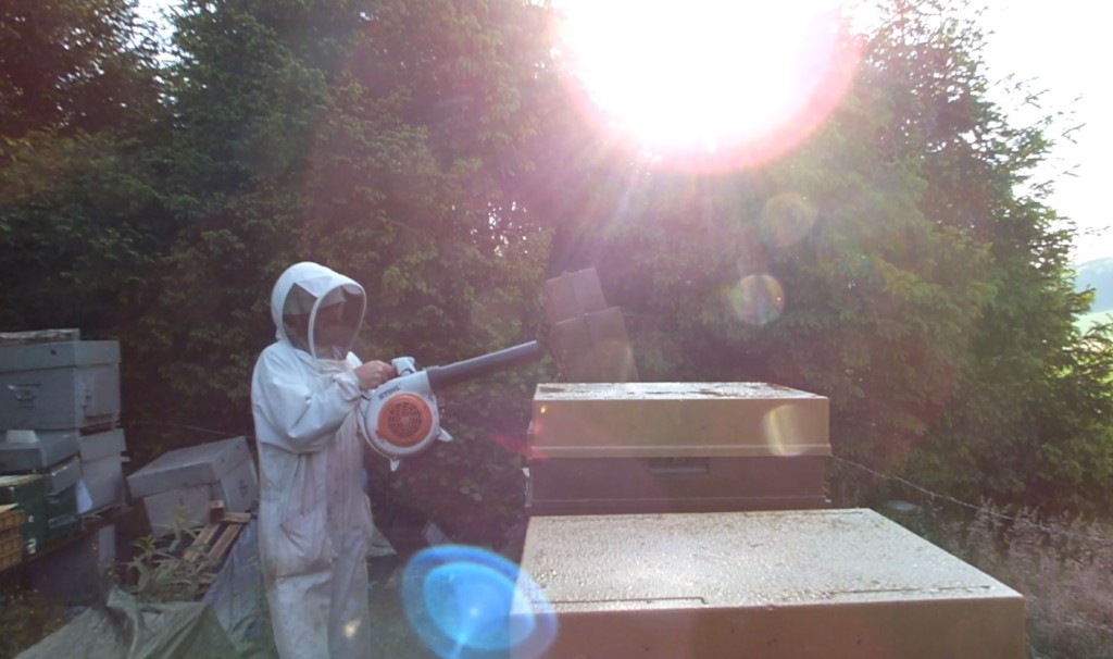 Hygrométrie, chasse-abeilles et retour des hausses