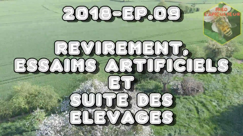 Vidéo: Revirement, essaims artificiels et suite des élevages
