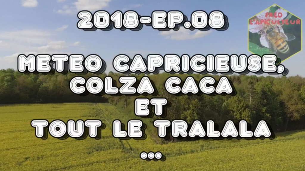 Météo capricieuse, colza caca et tout le tralala