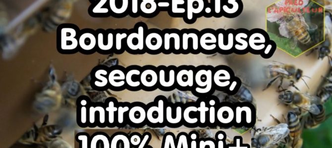 2018-Ep.13 – Bourdonneuse, secouage, introduction; 100% Mini+