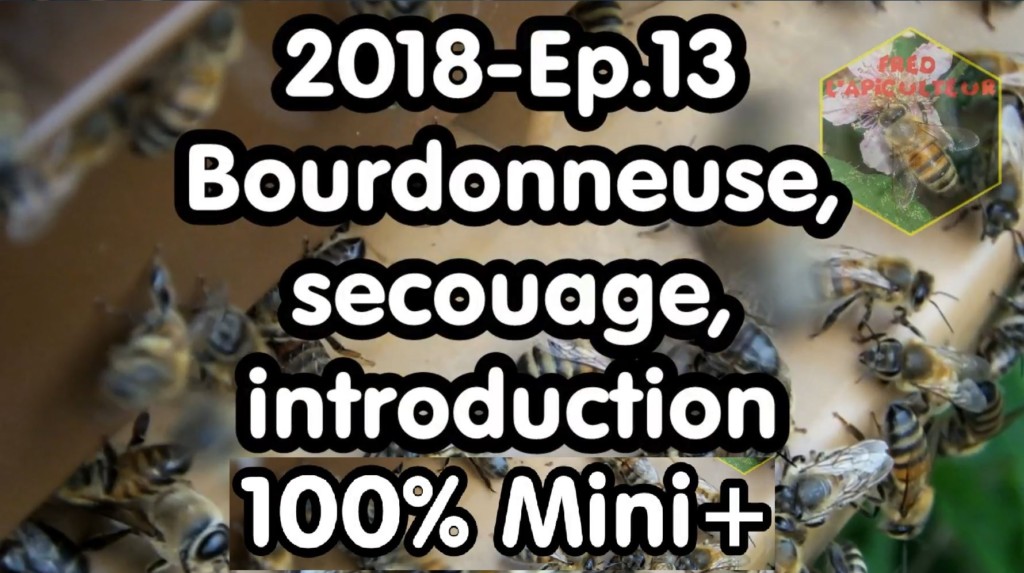 2018-Ep.13 – Bourdonneuse, secouage, introduction; 100% Mini+