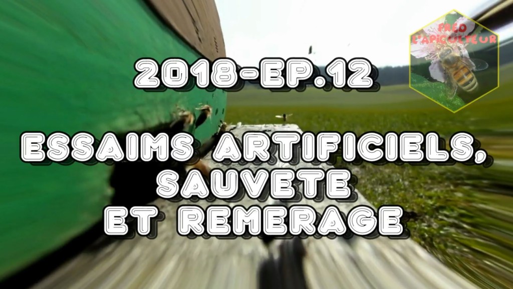 Fred l&rsquo;Apiculteur – 2018-Ep.12 – Essaims artificiels, sauveté et remérage