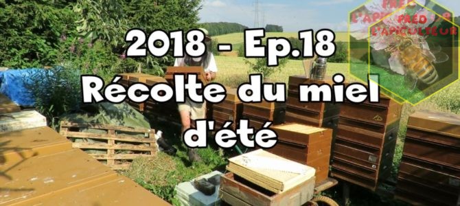 2018-Ep.18 – Récolte du miel d’été