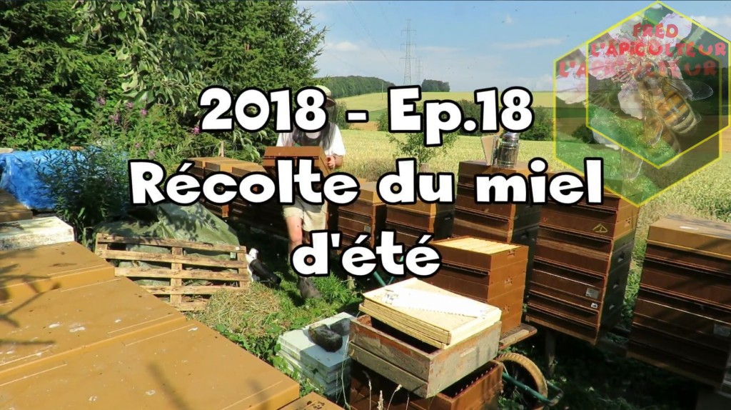 2018-Ep.18 – Récolte du miel d’été
