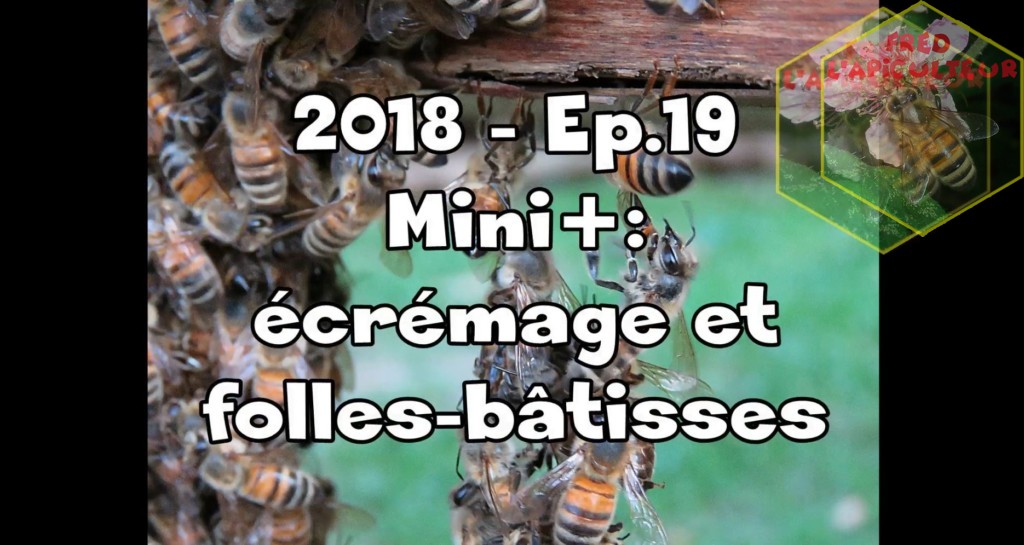 2018-Ep.19- Mini+: écrémage et folles-bâtisses