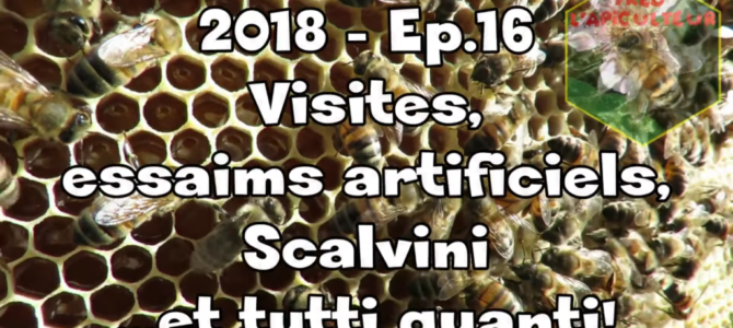 2018-Ep.16 – Visites, essaims artificiels, Scalvini…et tutti quanti!