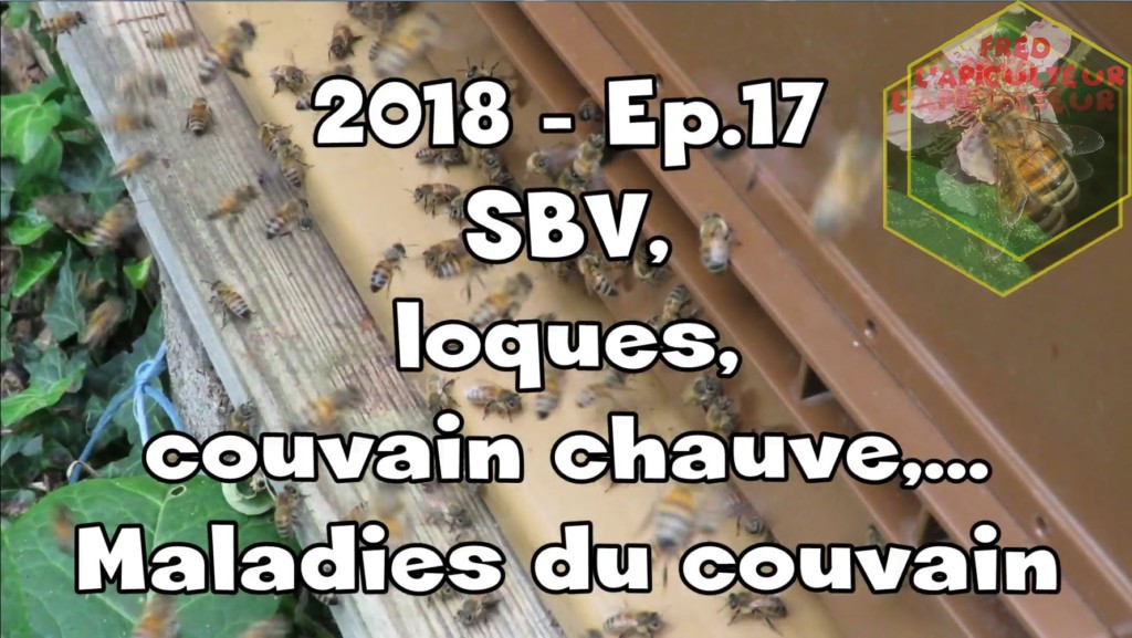 2018-Ep.17 – SBV, loques, couvain chauve,…Maladies du couvain