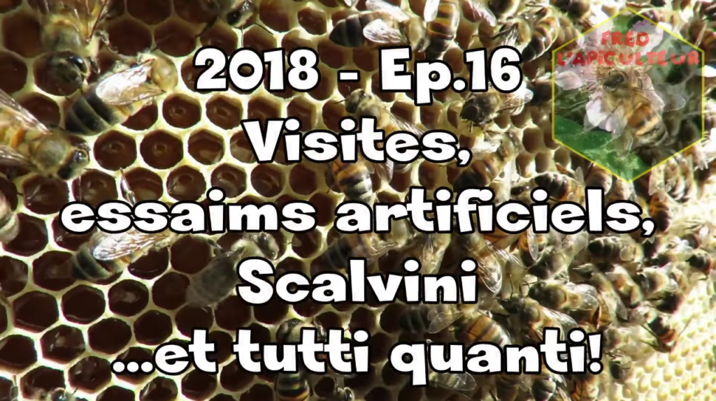 2018-Ep.16 – Visites, essaims artificiels, Scalvini…et tutti quanti!