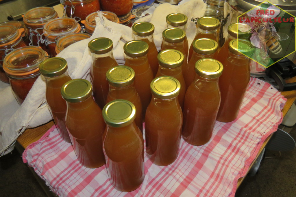 Broyage et pressage des pommes