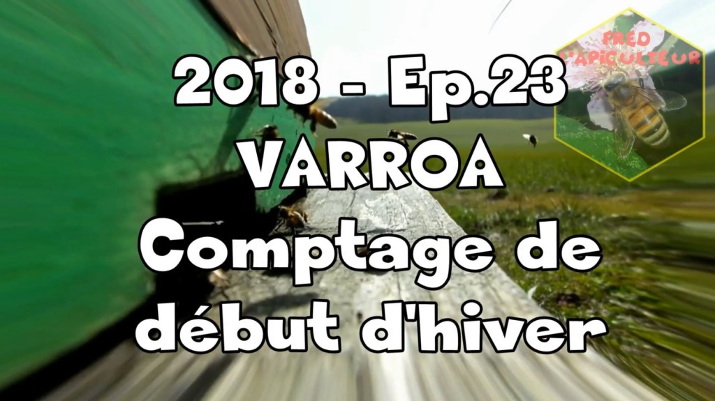 2018 – Ep.23 VARROA: comptage de début d’hiver