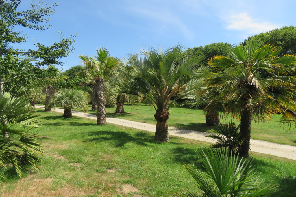 Vacances 2019: Bretagne, Finistère (5ème partie: le jardin exotique de Saint Renan)