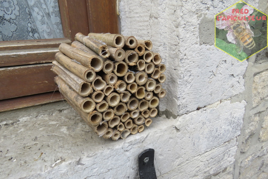 Nichoir à abeilles solitaires en bambou