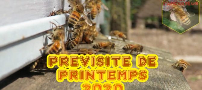 Prévisite 2020