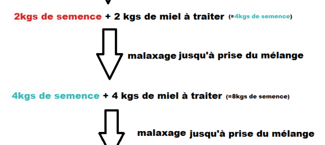 Ensemencement par la méthode de l’upscale